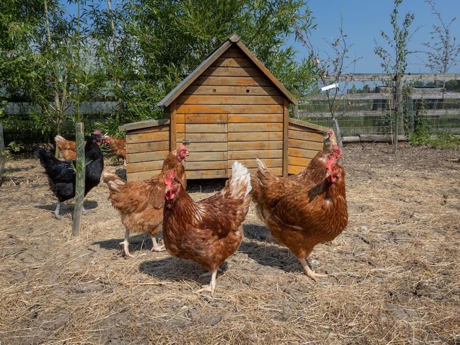 Puck'S Retreat Bed & Breakfast Tredington Εξωτερικό φωτογραφία